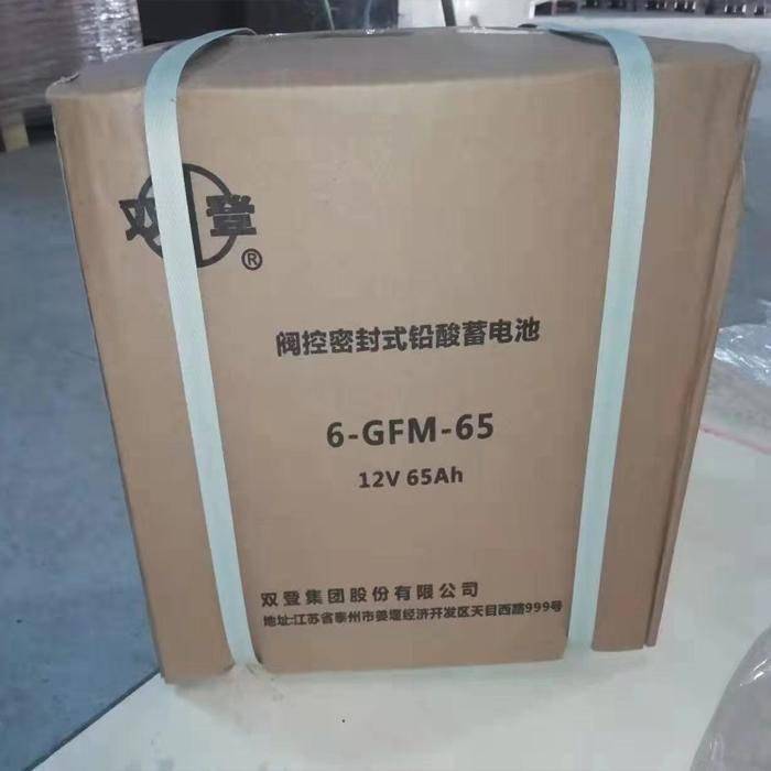 雙登鉛酸免維護蓄電池6-GFM-100直流屏UPS蓄電池12v100ah第4張